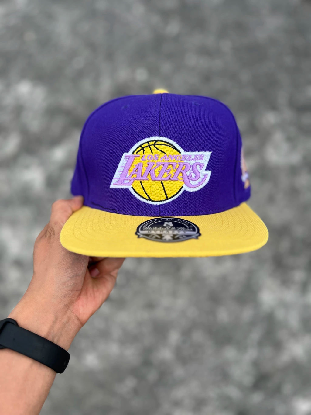 DYNASTY FITTED MITCHELL & NESS LOS ÁNGELES LAKERS (PURPLE YELLOW) HAT