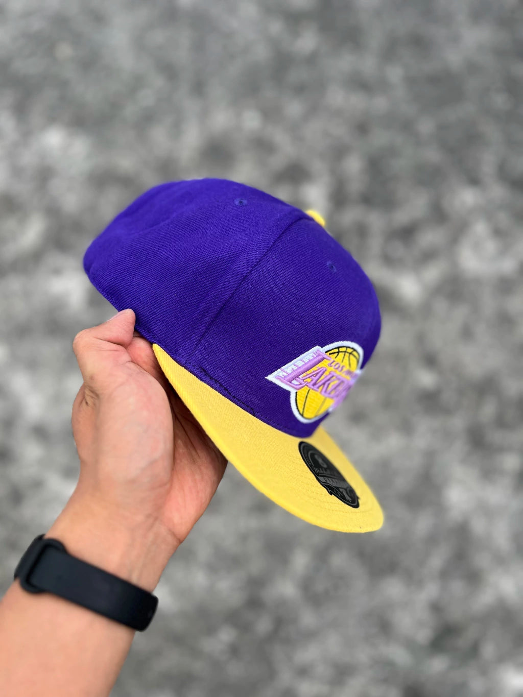 DYNASTY FITTED MITCHELL & NESS LOS ÁNGELES LAKERS (PURPLE YELLOW) HAT
