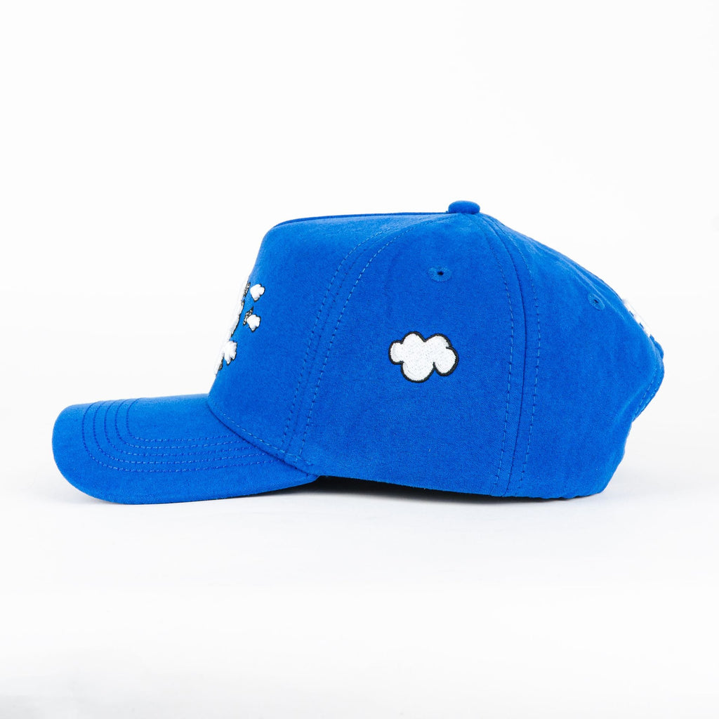 31 HATS LA MONEY CLOUDS SUEDE